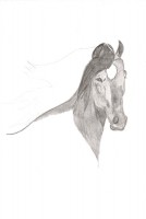 Disegno-Giorgia 2011-06 Cavallo da completare